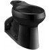KOHLER K-4327-7 Barrington Pressure Lite Elongated Toilet Bowl  Black Black (Bowl Only) - B001A09LW2